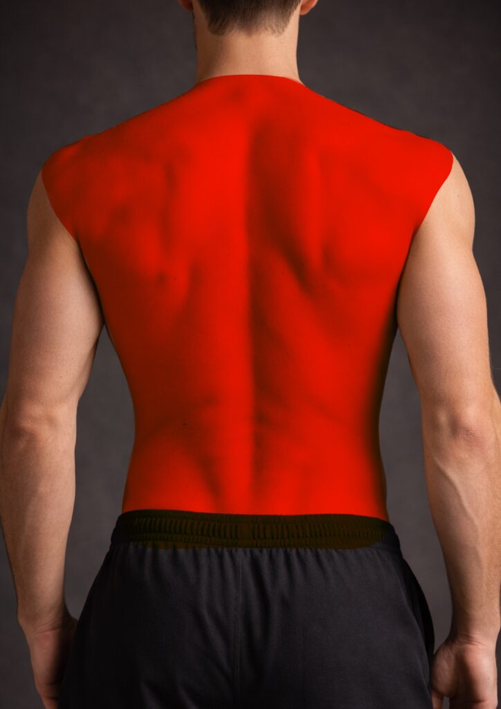 Back — full back