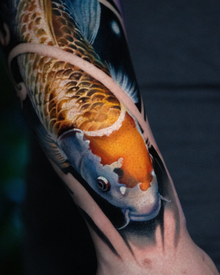 Koi fishes