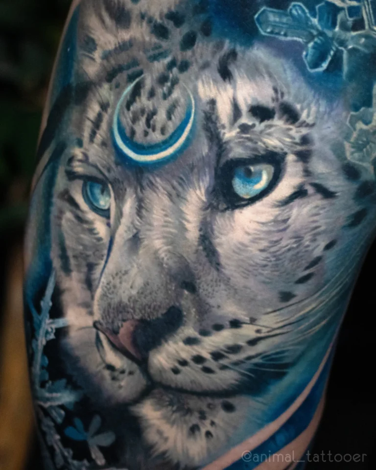 Snow leopard