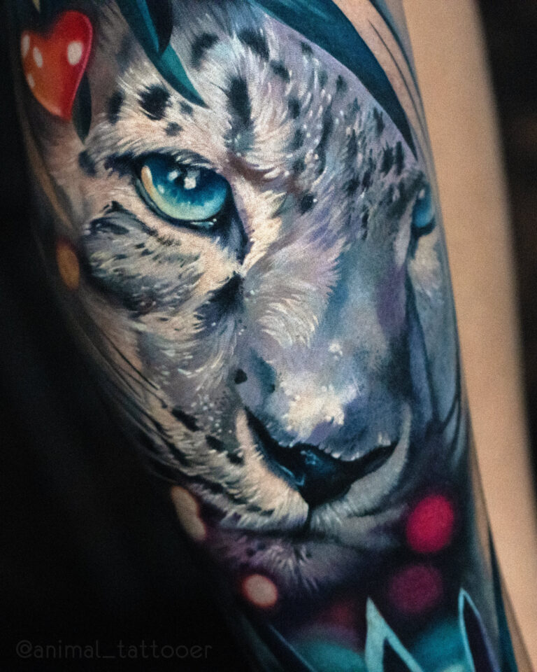 Snow leopard on the shin