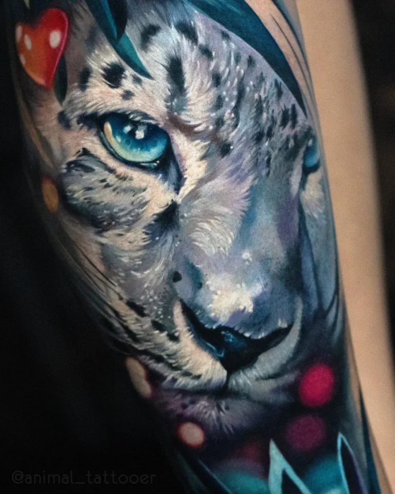 Snow leopard on the shin