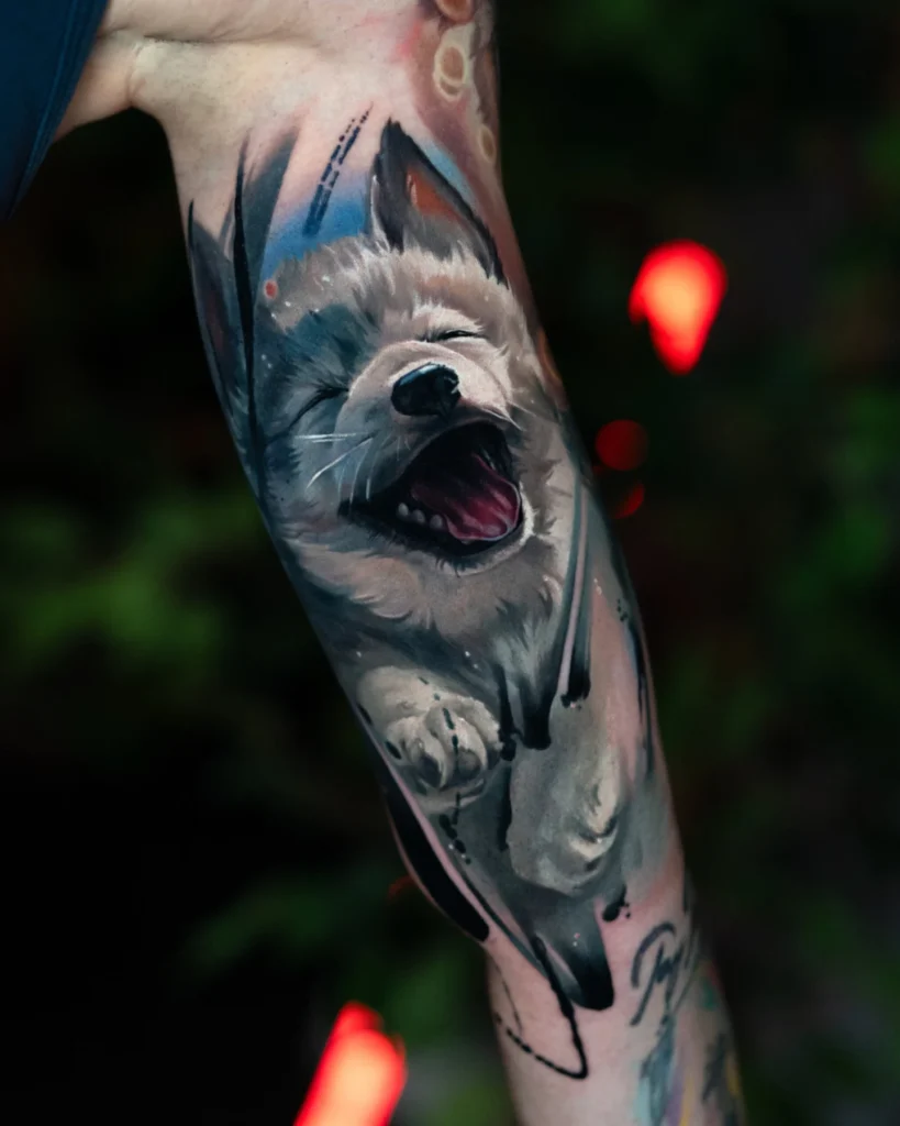 baby wolf