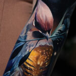 A mother nature sleeve