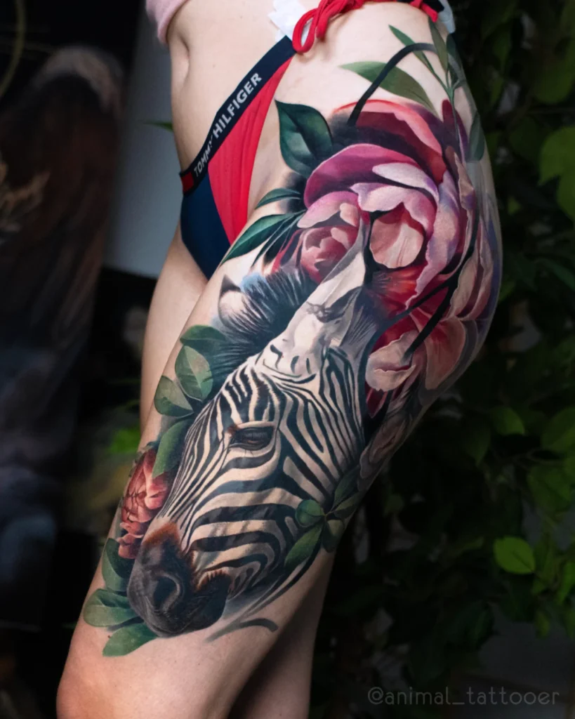 Zebra