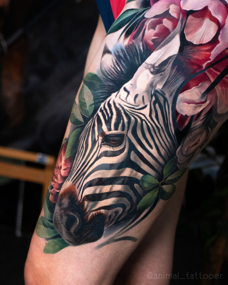 Zebra