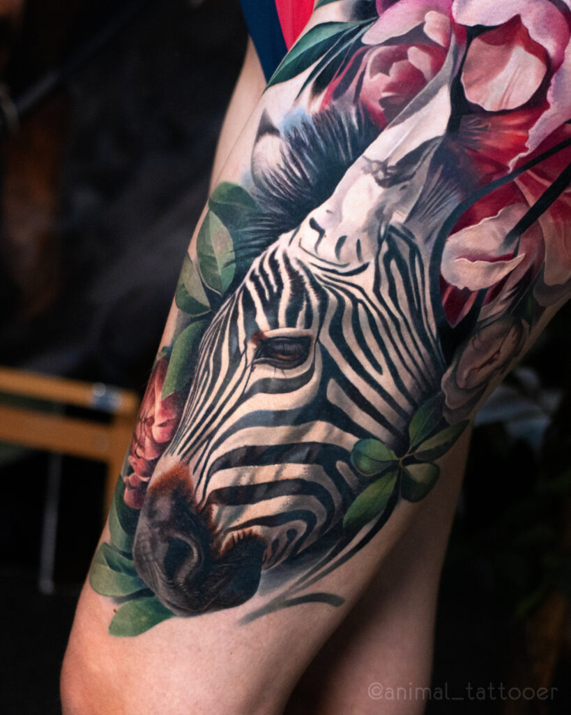Zebra