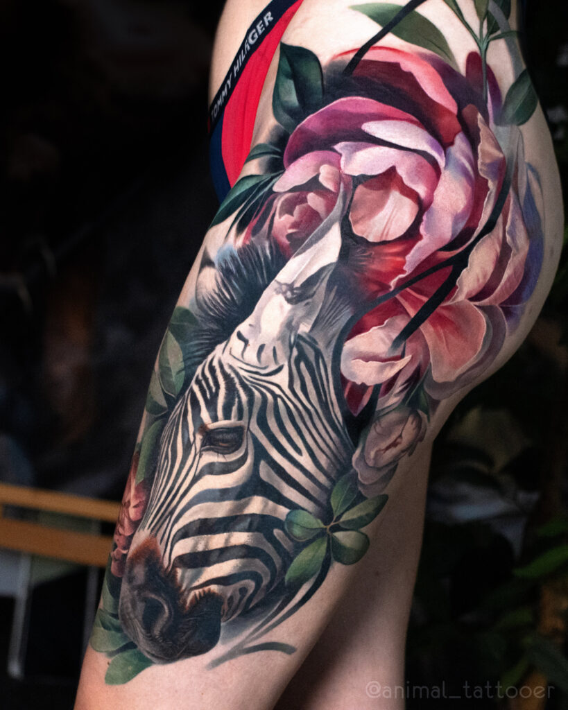 Zebra