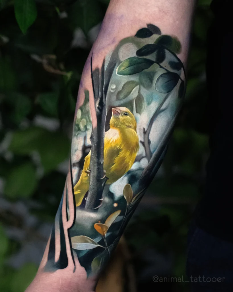 Canary