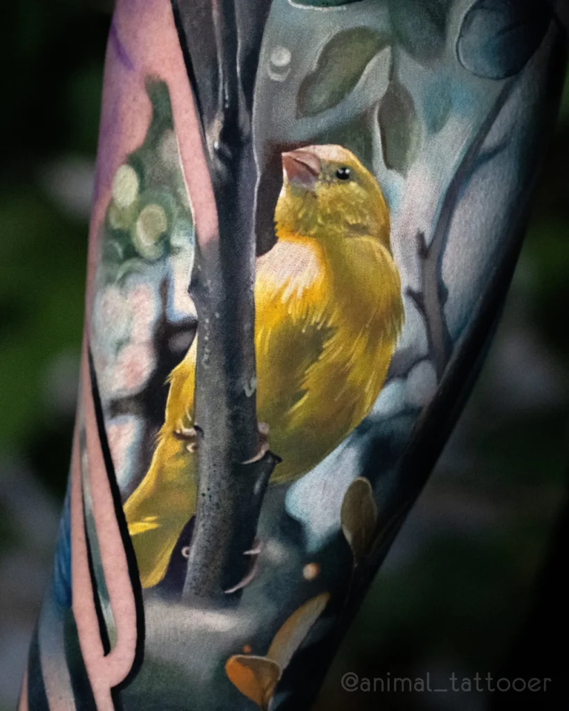 Canary