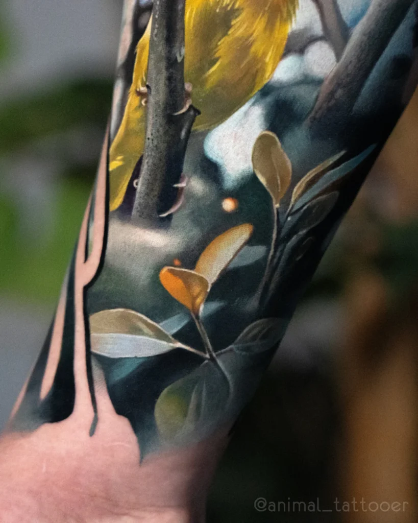 Canary