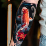 Koi fishes