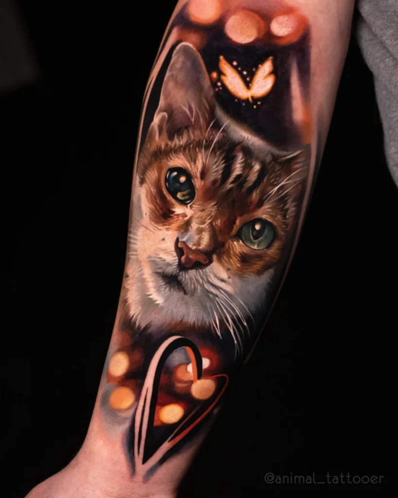 Cat portrait