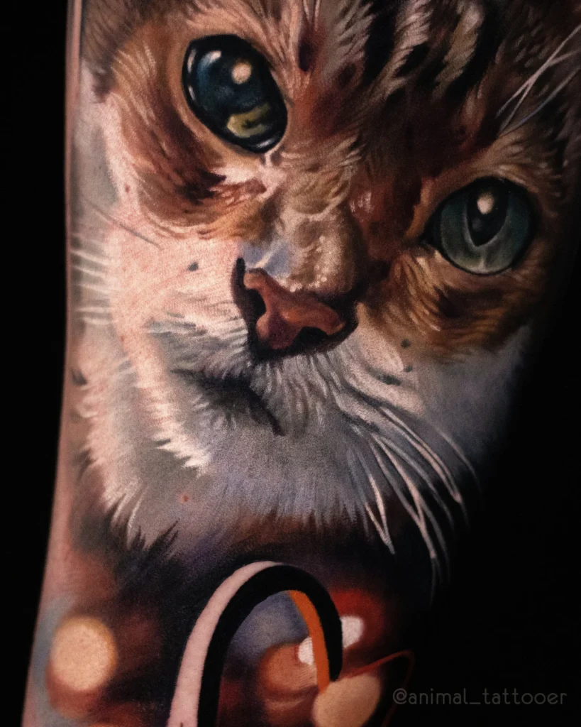 Cat portrait