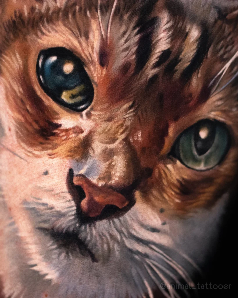 Cat portrait