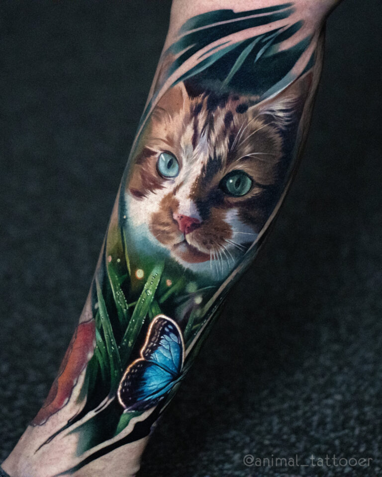 A reddish cat with butterfly