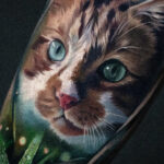 A reddish cat with butterfly