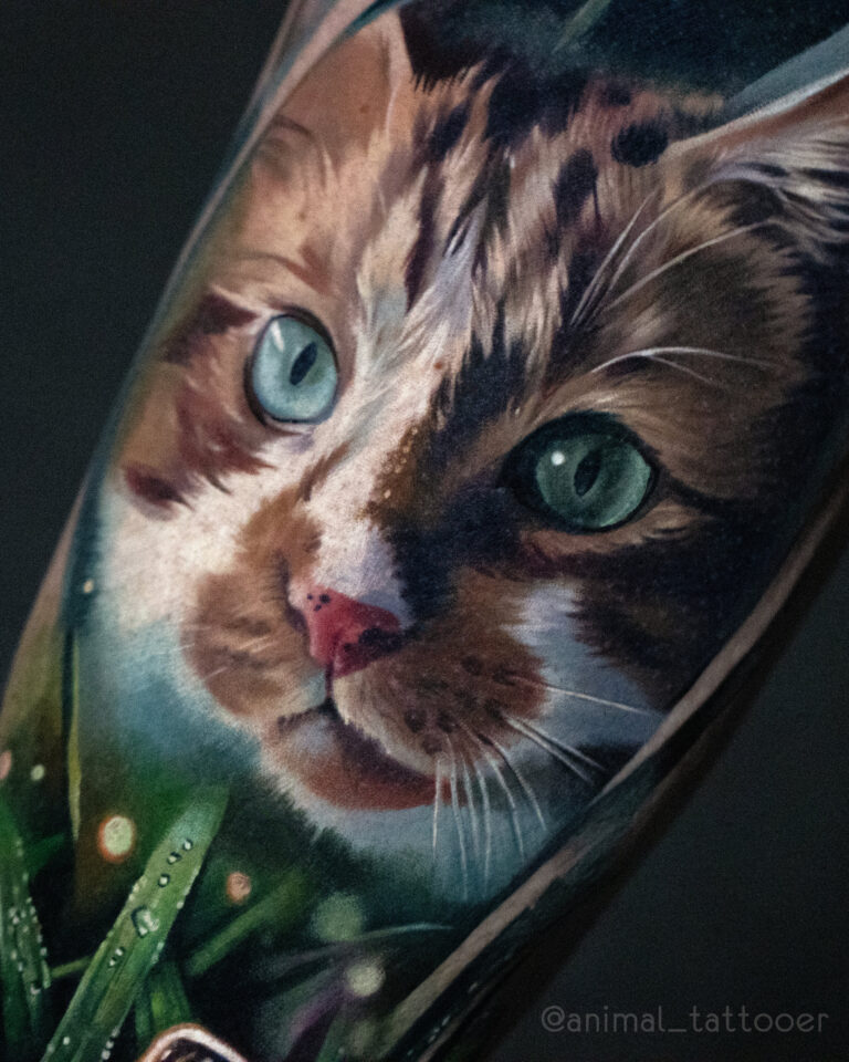 A reddish cat with butterfly