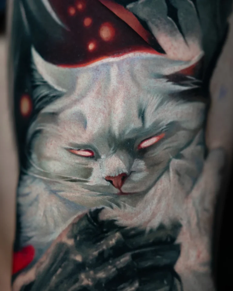 a white cat