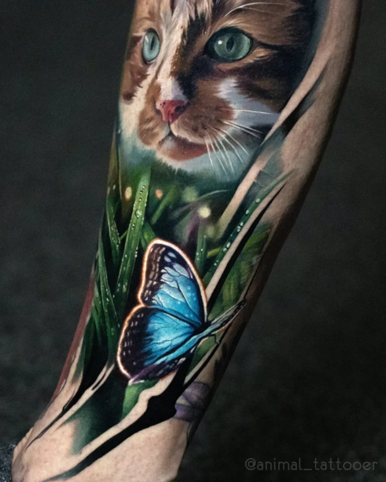 A reddish cat with butterfly