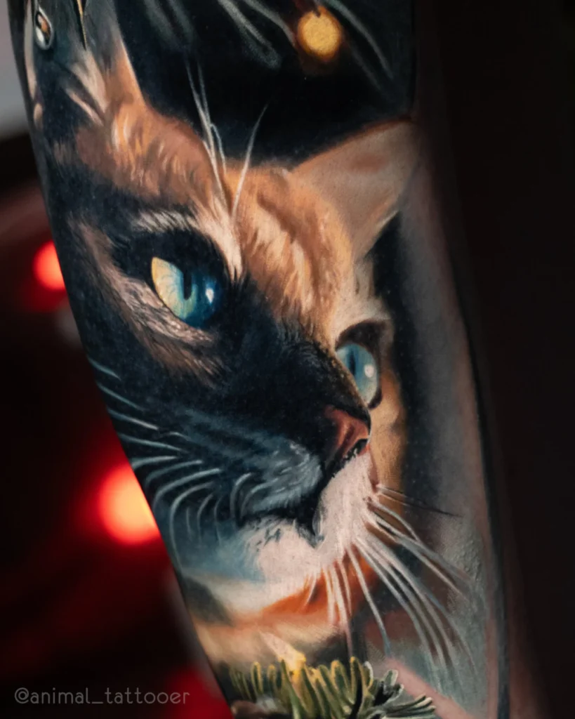 Cat