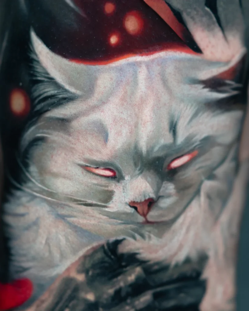 a white cat