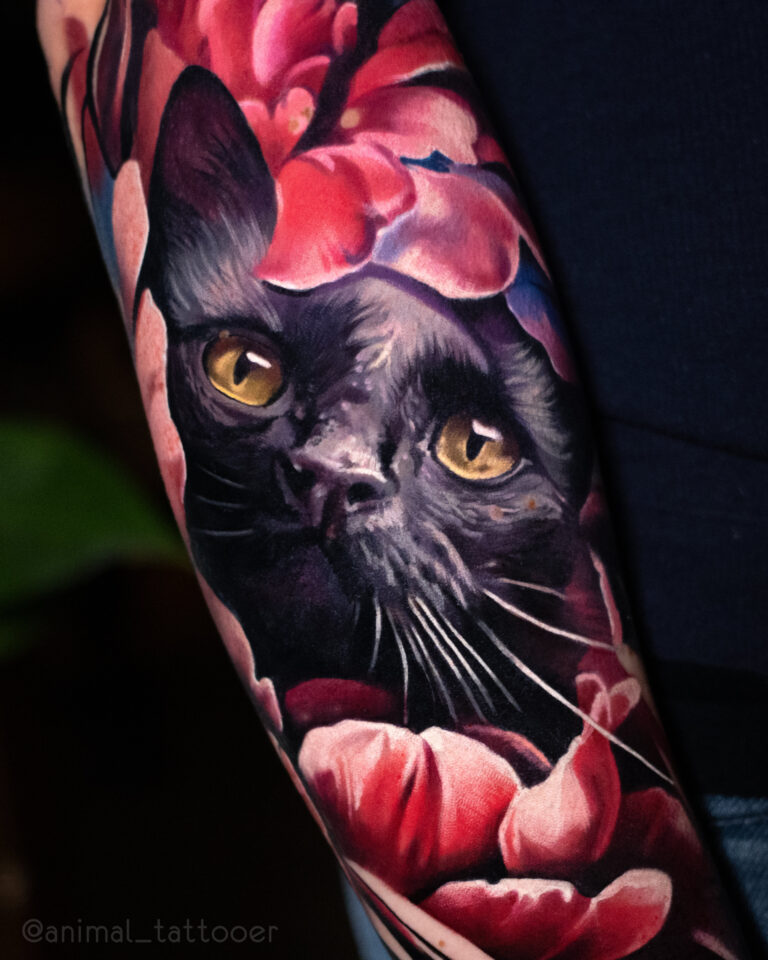 A black cat in flower