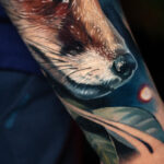 Fox on forearm