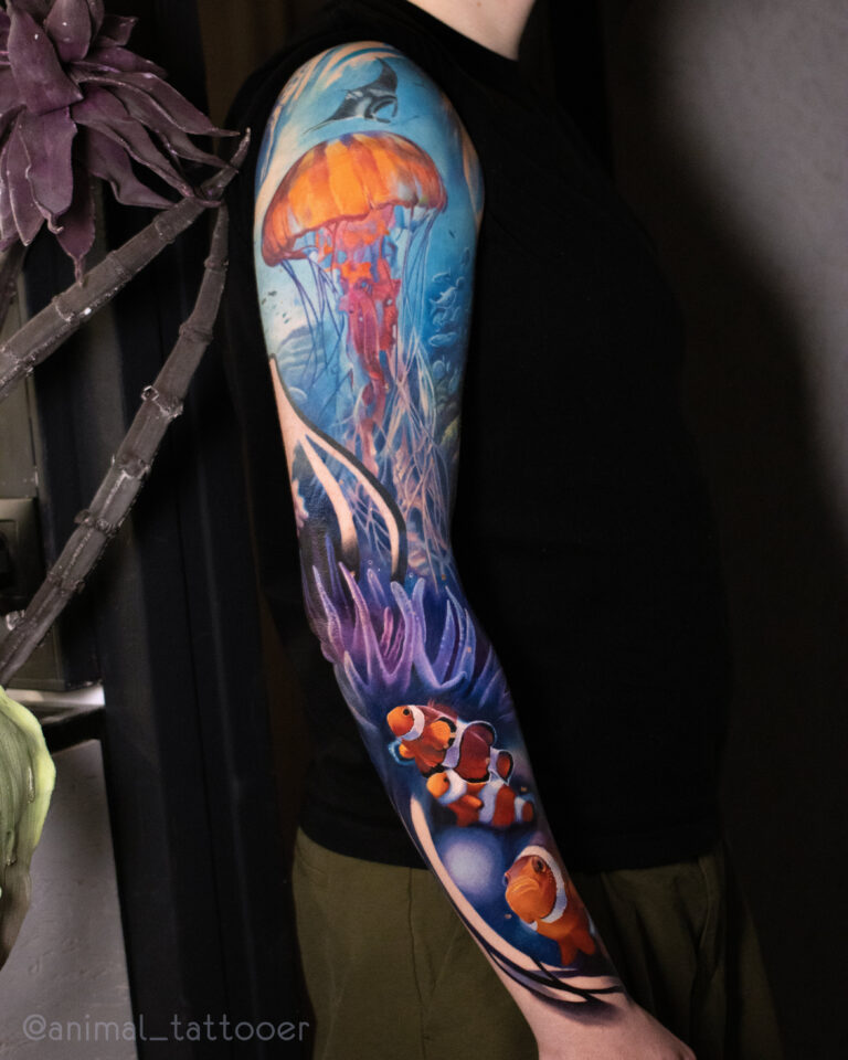 Jellyfish