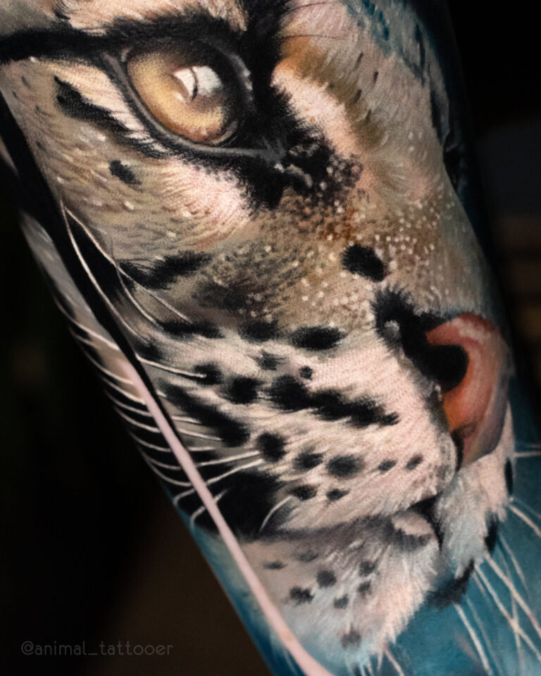 Ocelot 2