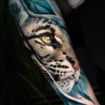 Ocelot 2
