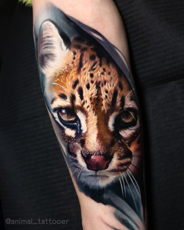 Ocelot