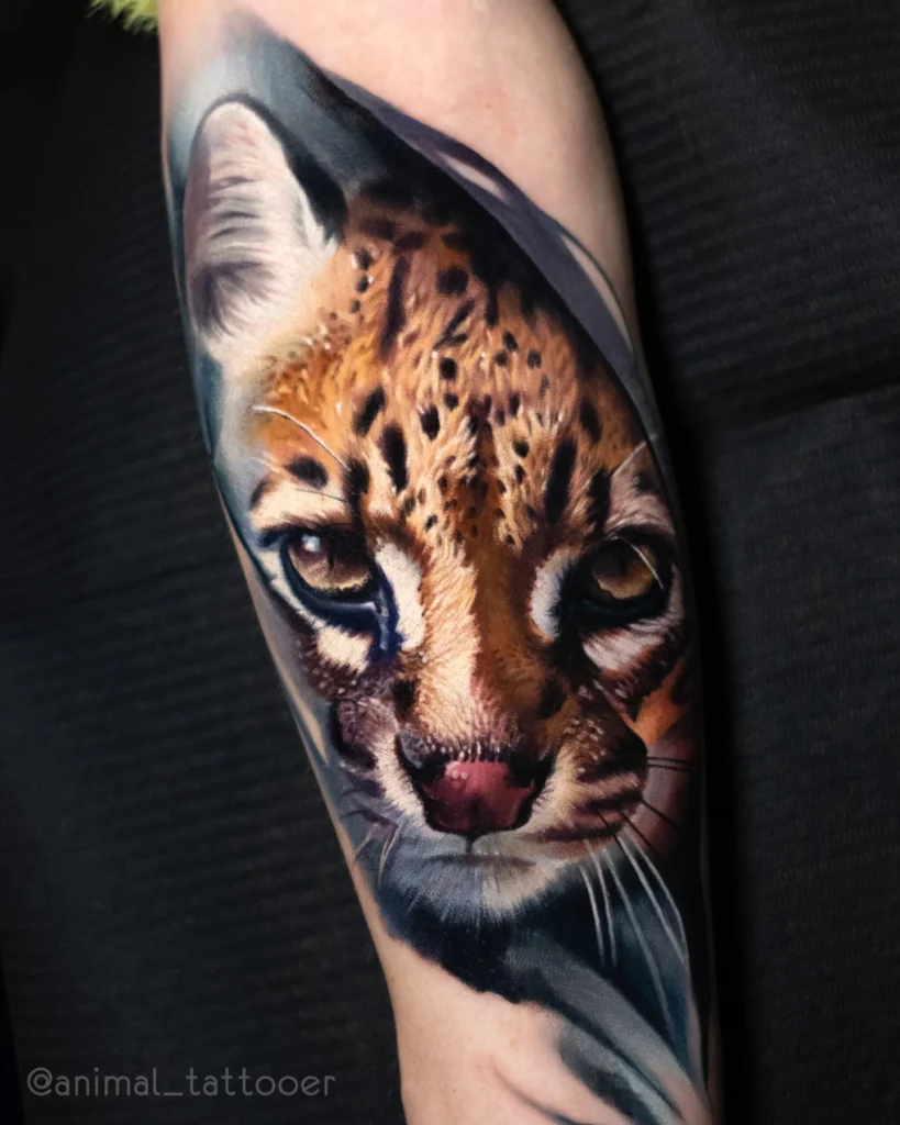 Ocelot