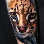 Ocelot