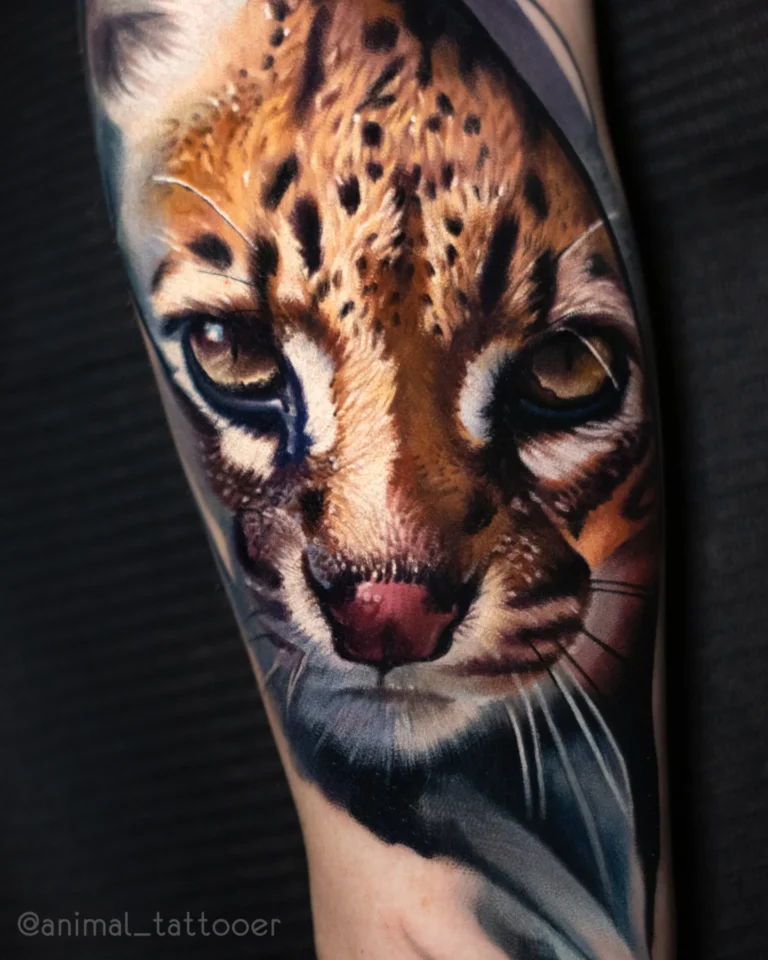 Ocelot