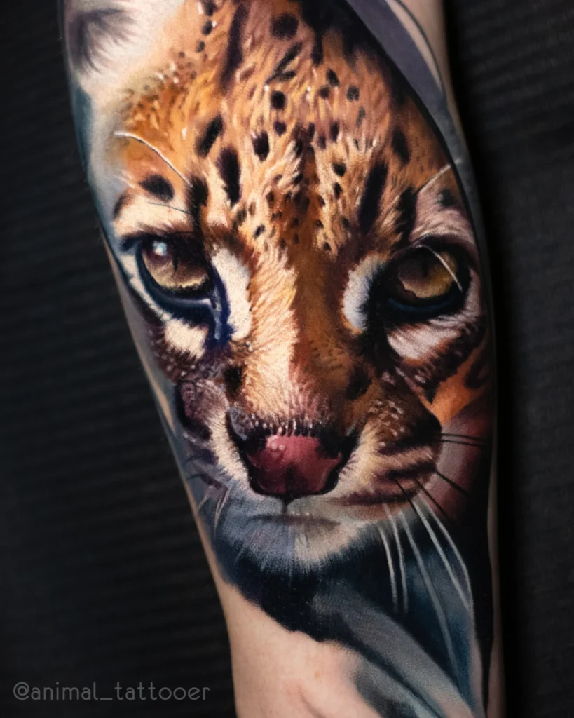 Ocelot