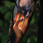 a bird on the hand