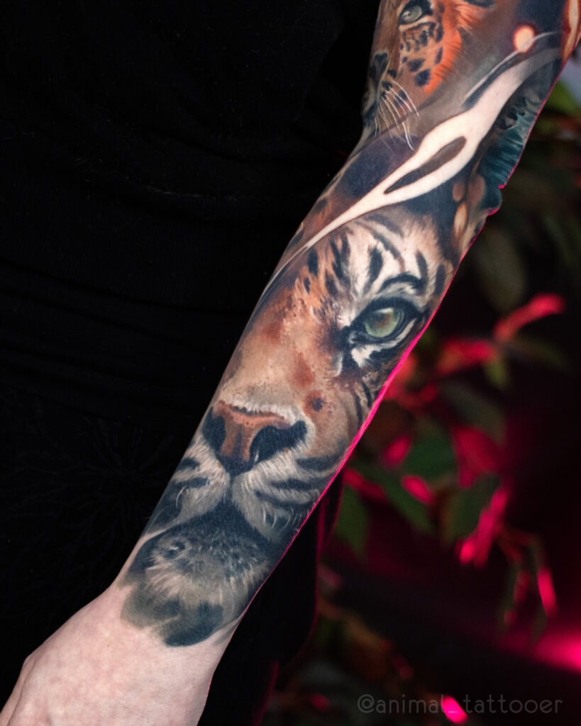 big cats sleeve