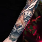 big cats sleeve