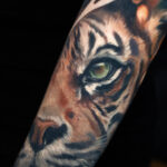 big cats sleeve