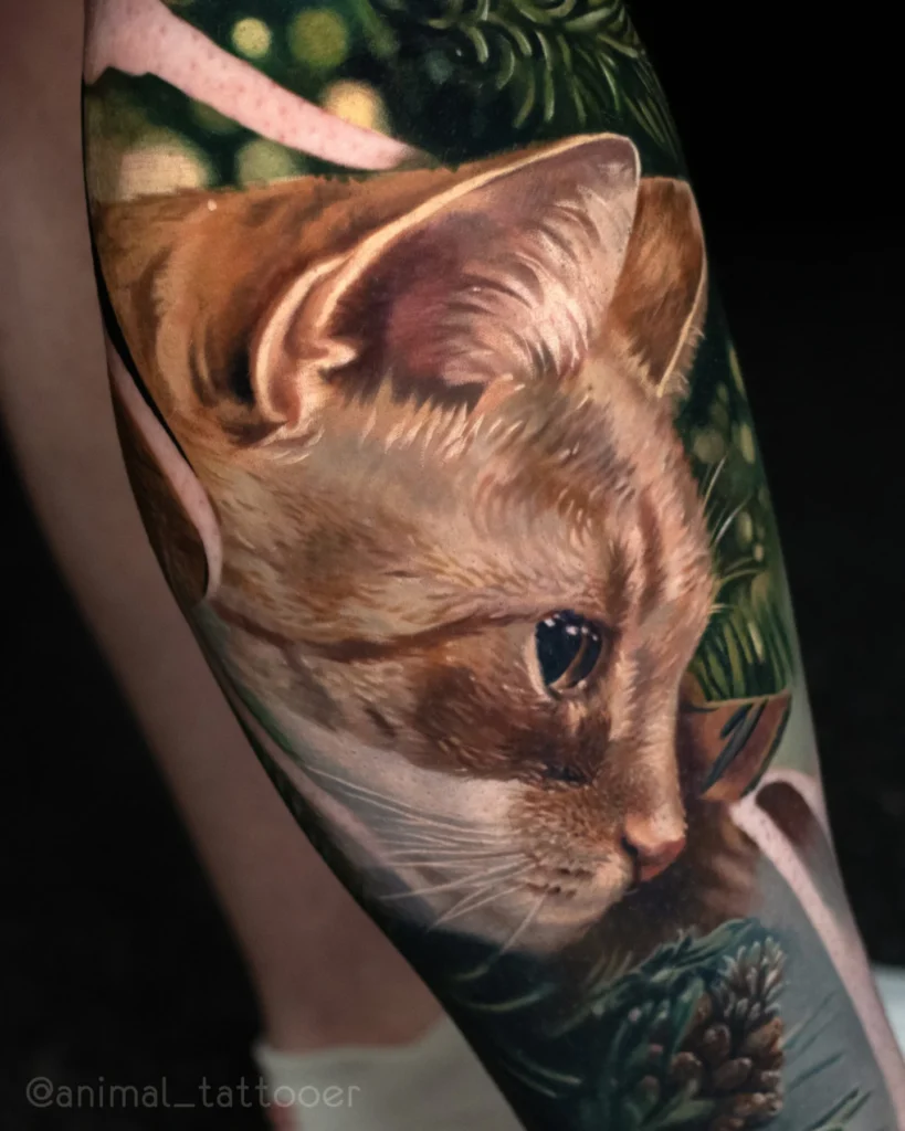 Orange kitty