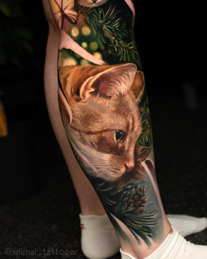 Orange kitty