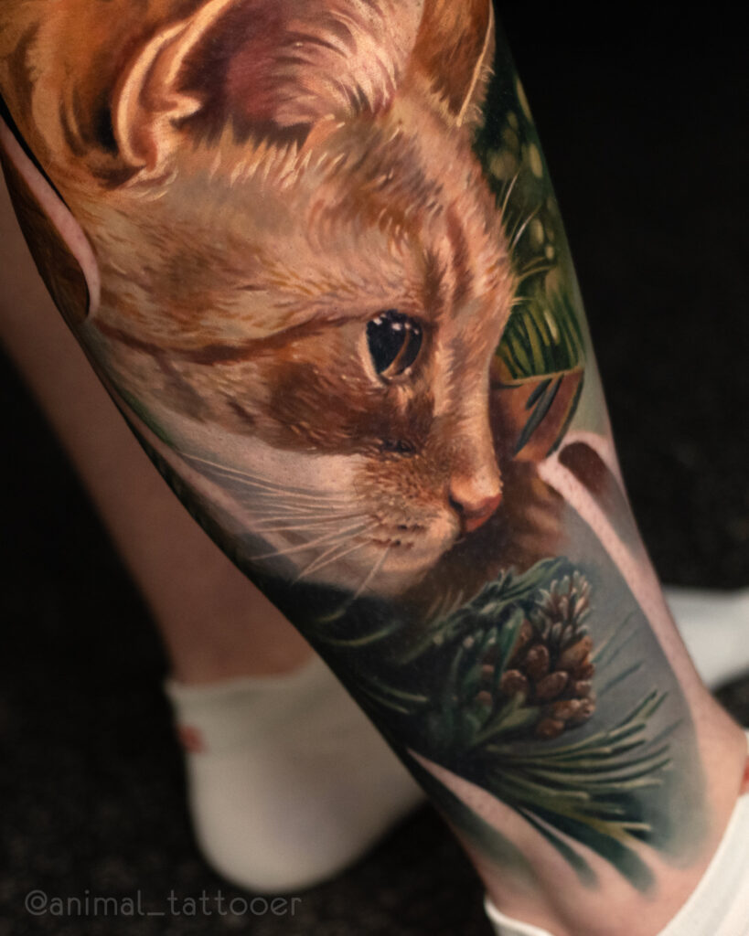 Orange kitty