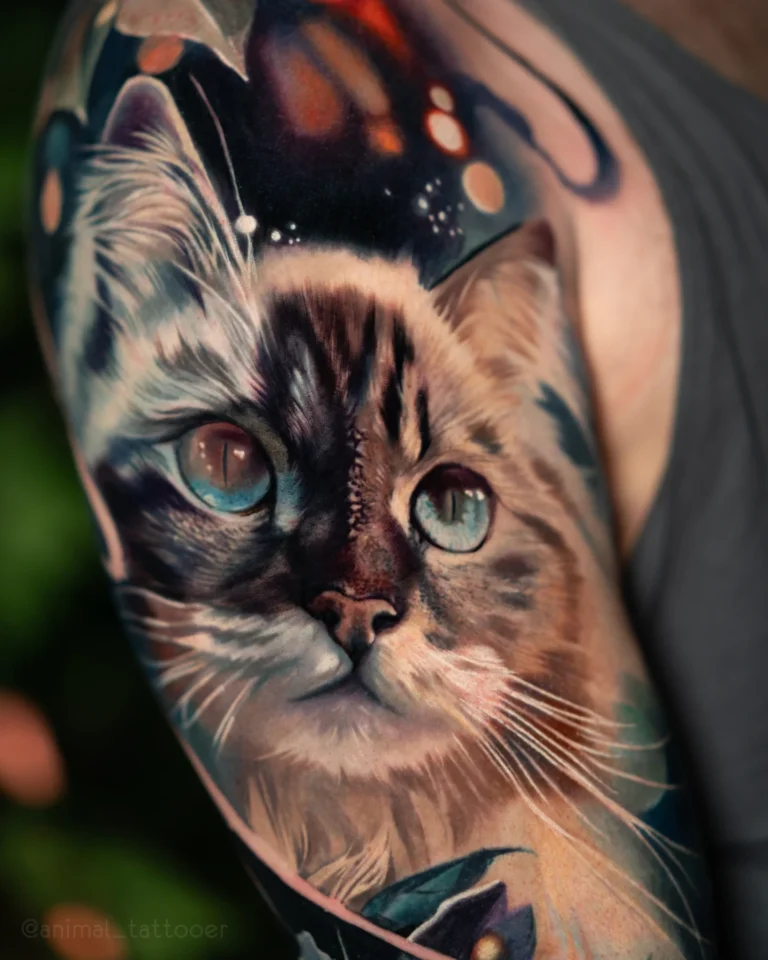 Magical cat