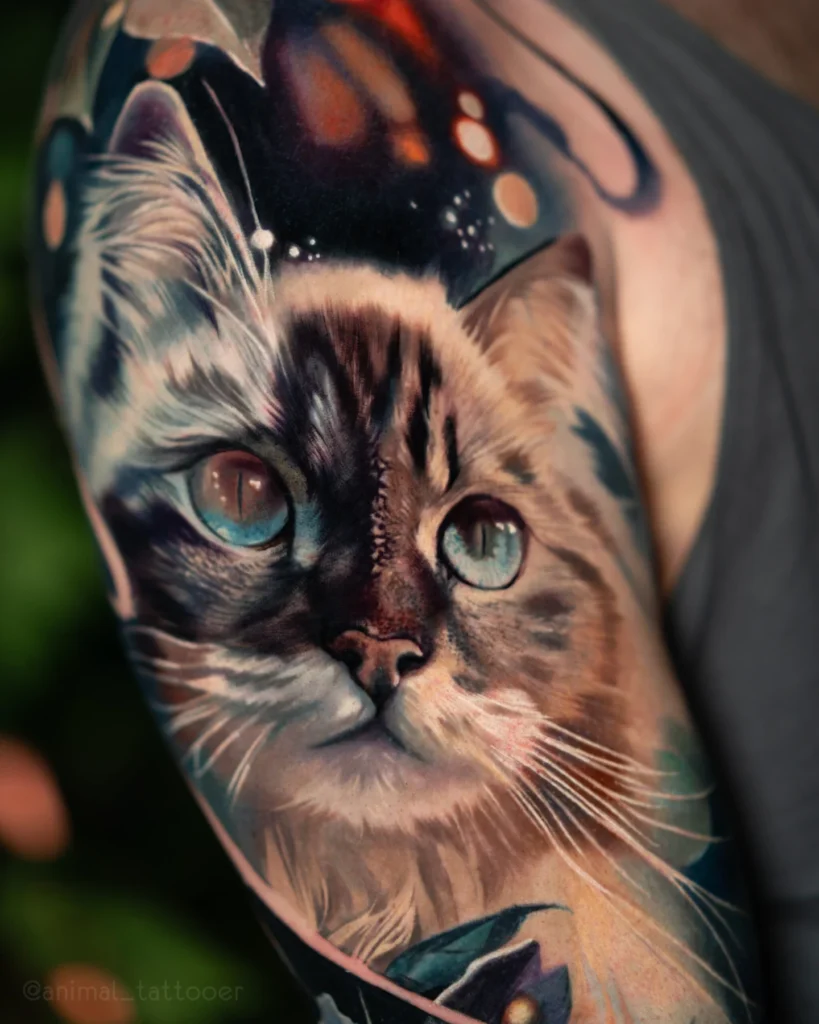 Magical cat