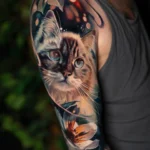 Magical cat
