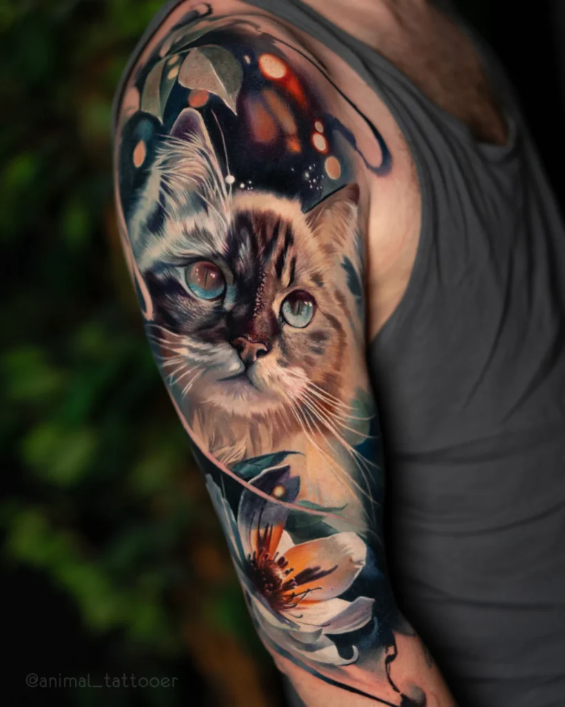 Magical cat
