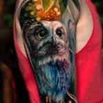 Owl