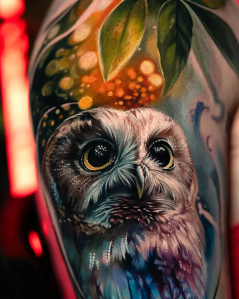 Owl