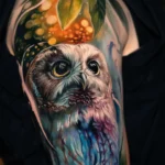 Owl