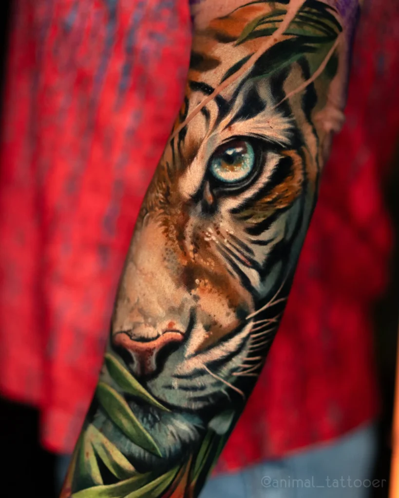 Tiger in jungles